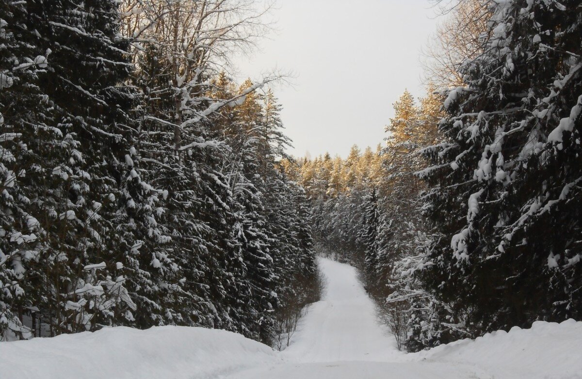 Дорога в деревню.