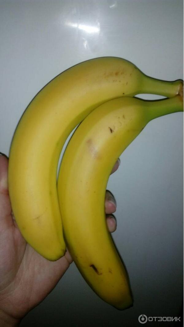 два больших банана. овощной банан. два больших банана. 2 банана. пизанг банан.