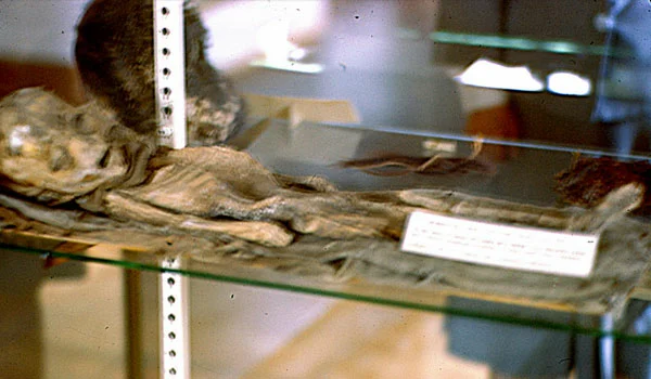 Пришелец в музее