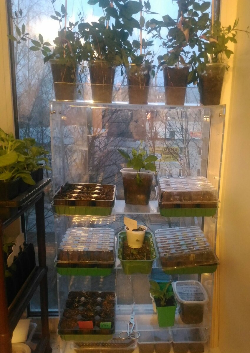 Моя маленькая этажерка из оргстекла