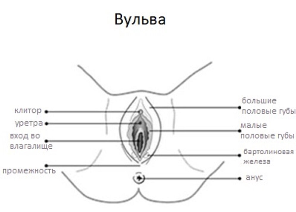 Вульвит у девочек