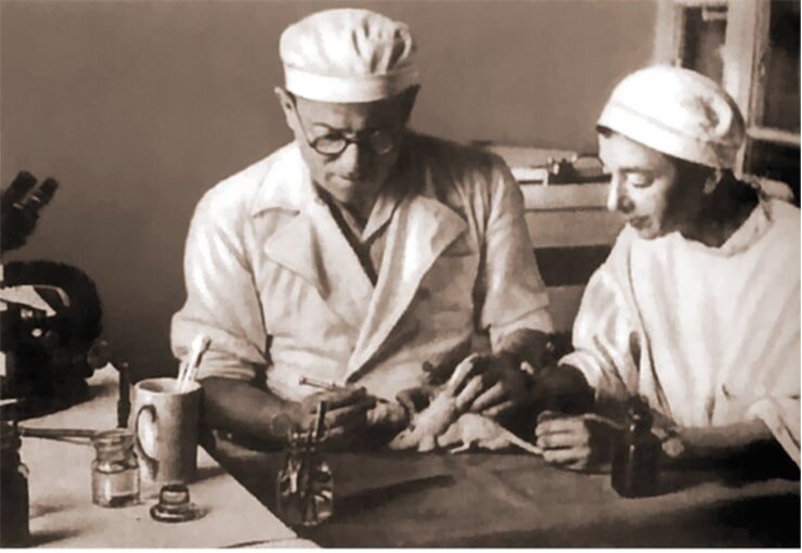 С  именем Льва Александровича Зильбера, первооткрывателя вируса клещевого  энцефалита, связаны фундаментальные исследования изменчивости у бактерий  и природы иммунитета, создание и экспериментальная разработка  вирусогенетической теории происхождения опухолей, а также нового  направления – иммунологии рака