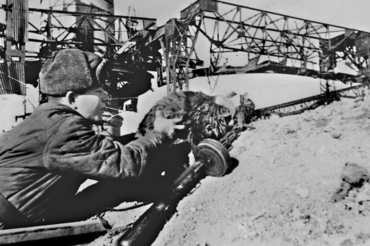 На этом кадре боец Красной армии засылает к окруженным в Сталинграде немецким солдатам кота с листовкой. Фото: архив «Красная Звезда» https://tvzvezda.ru/photo-gallery/201807121752-yptg.htm/frame/8/  