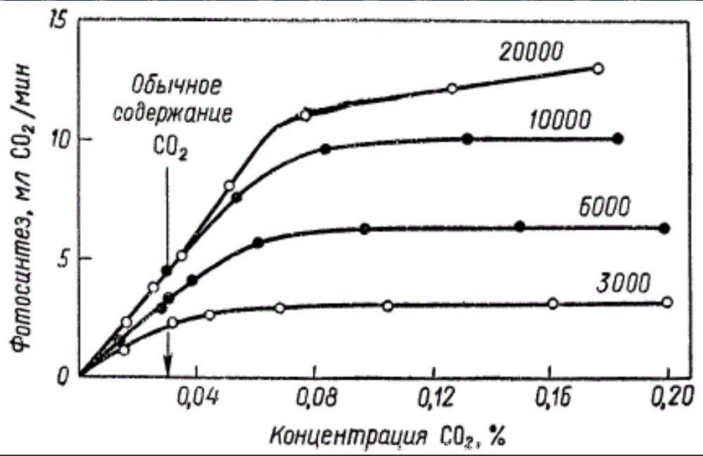 При какой температуре интенсивность роста максимальная. Зависимость интенсивности фотосинтеза от концентрации со2. Зависимость фотосинтеза от концентрации углекислого газа. Зависимость фотосинтеза от концентрации co2. Зависимость скорости фотосинтеза от концентрации углекислого газа.