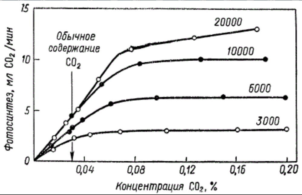 Повышение интенсивности углекислого газа