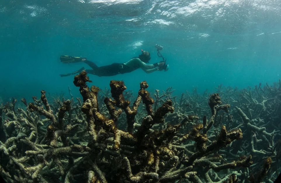 Источник фото: Яндекс.Картинки