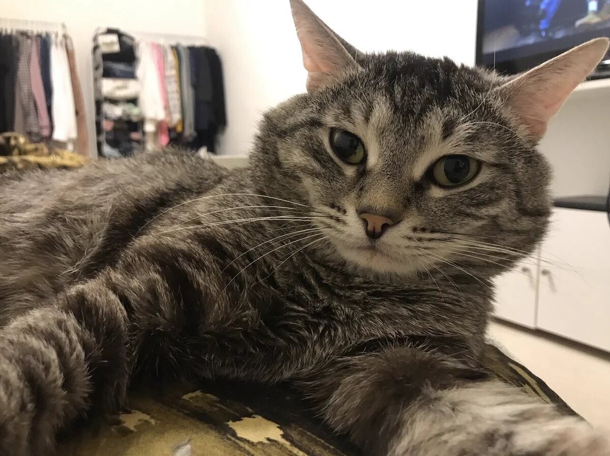 Это было пробное селфи, я тут пока удивлен и еще не нашел рабочую сторону.