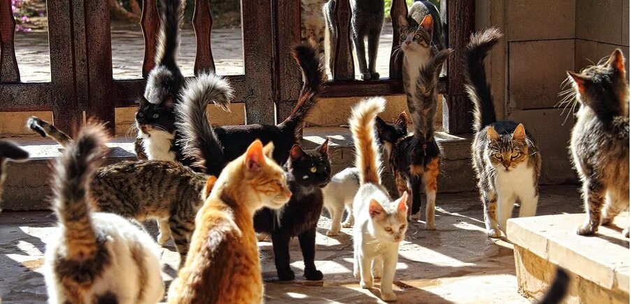 примерно как то так... Фото с Яндекс.Картинки.