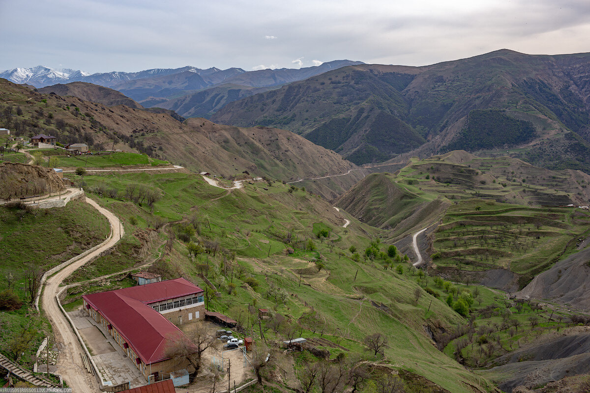 Солнечный Дагестан фото