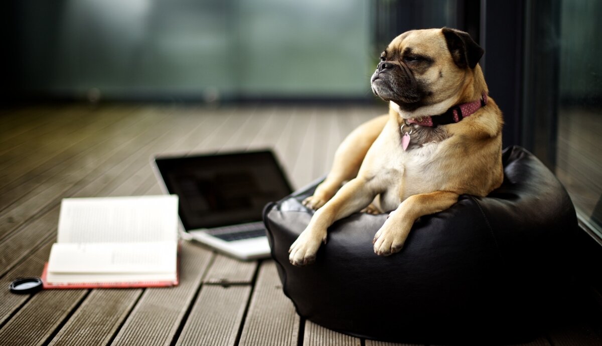 фото из фотостока