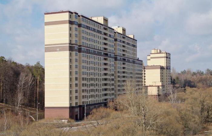 вот такие два домика в этом ЖК 