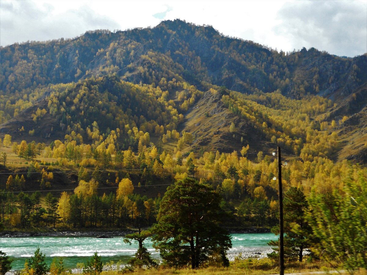 Гора верблюд горный алтай. Ороктой горный Алтай. Село Куюс горный Алтай. Ороктой парк Алтай.