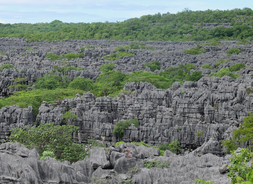 Мадагаскар челябинск фото