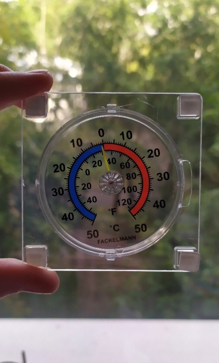 Лето больше похоже на раннюю осень.