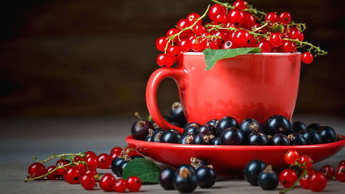 Изображение взято из сервиса Яндекс Картинки