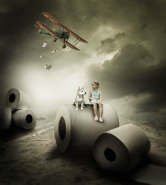 Источник фото: pixabay