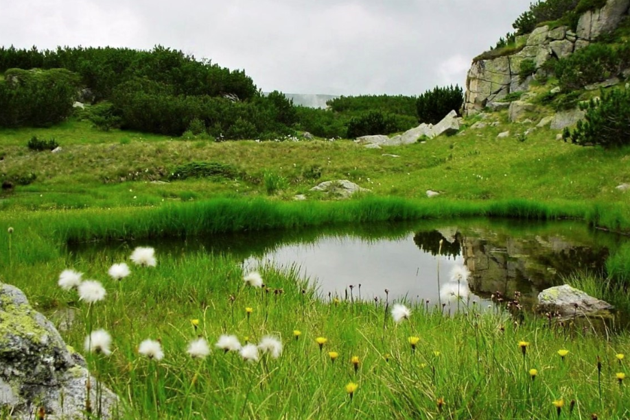 Источник: yandex.ru