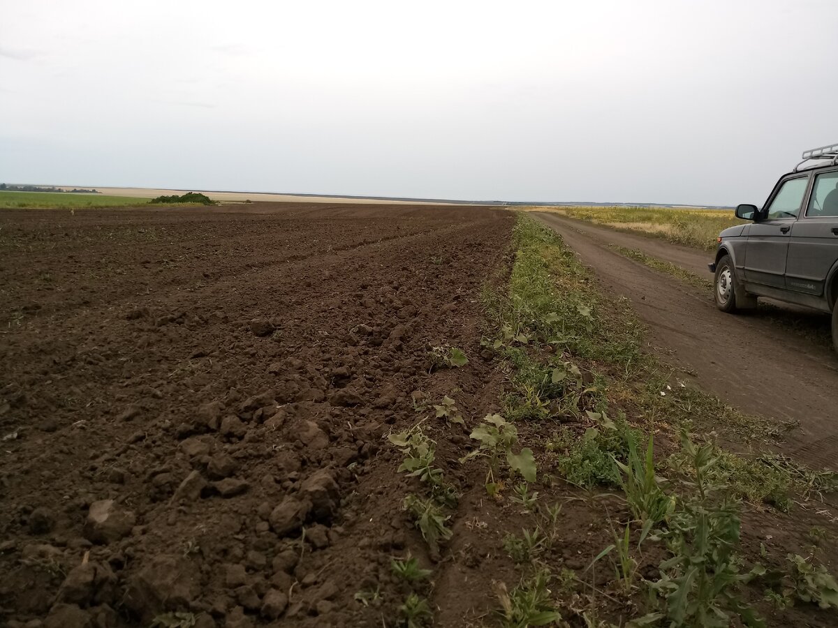 Площадь занимаемая на колхозном поле посадкой клубники. Колхозное поле Колхозный Амбар. Колхозные поля под охраной Ульяновск. Торт колхозное поле. Труба по полю колхоз.