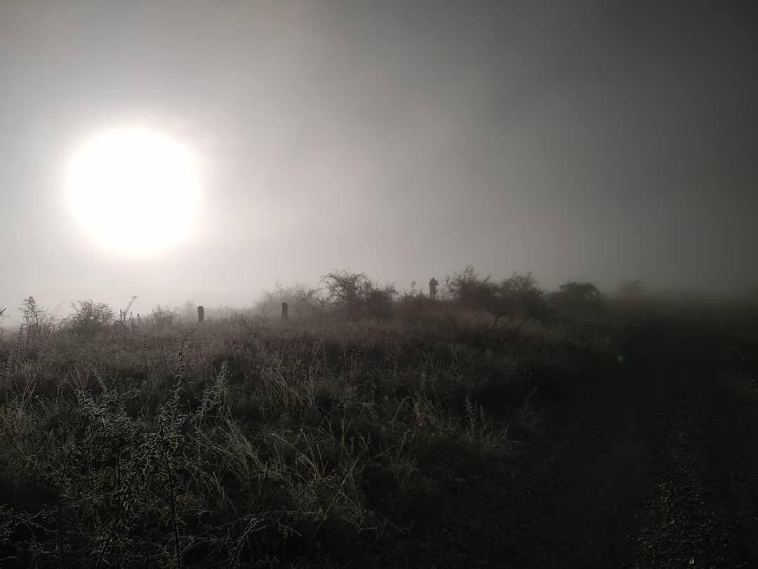 Туманное весеннее утро на Караби-Яйле.