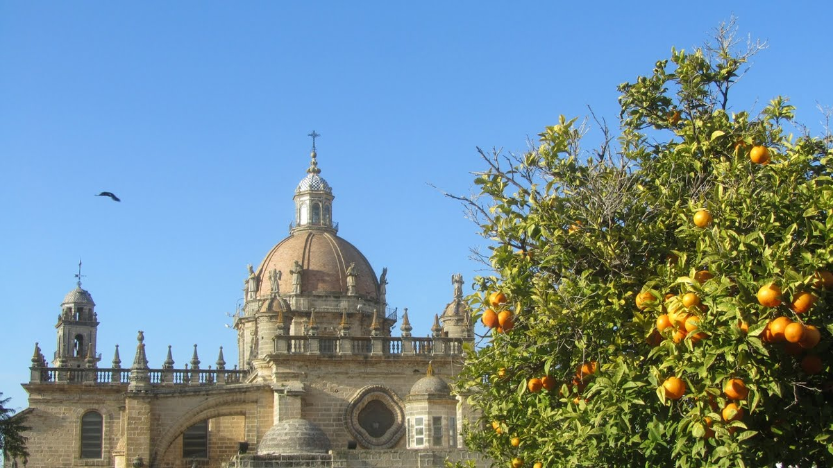 Источник Яндекс картинки