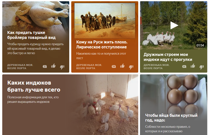 А вот каково это - жить в деревне под Питером и не жаловаться на то, что жизнь гуано и жрать нечего? 