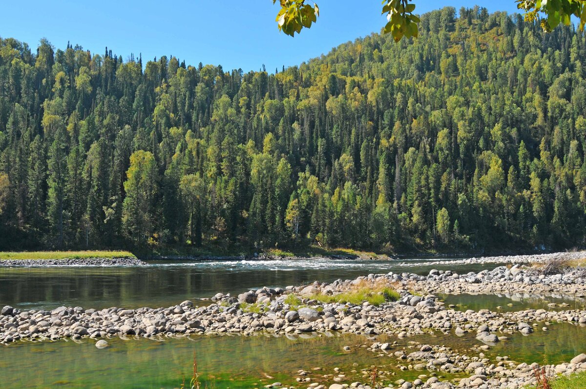 Артыбаш алтай фото