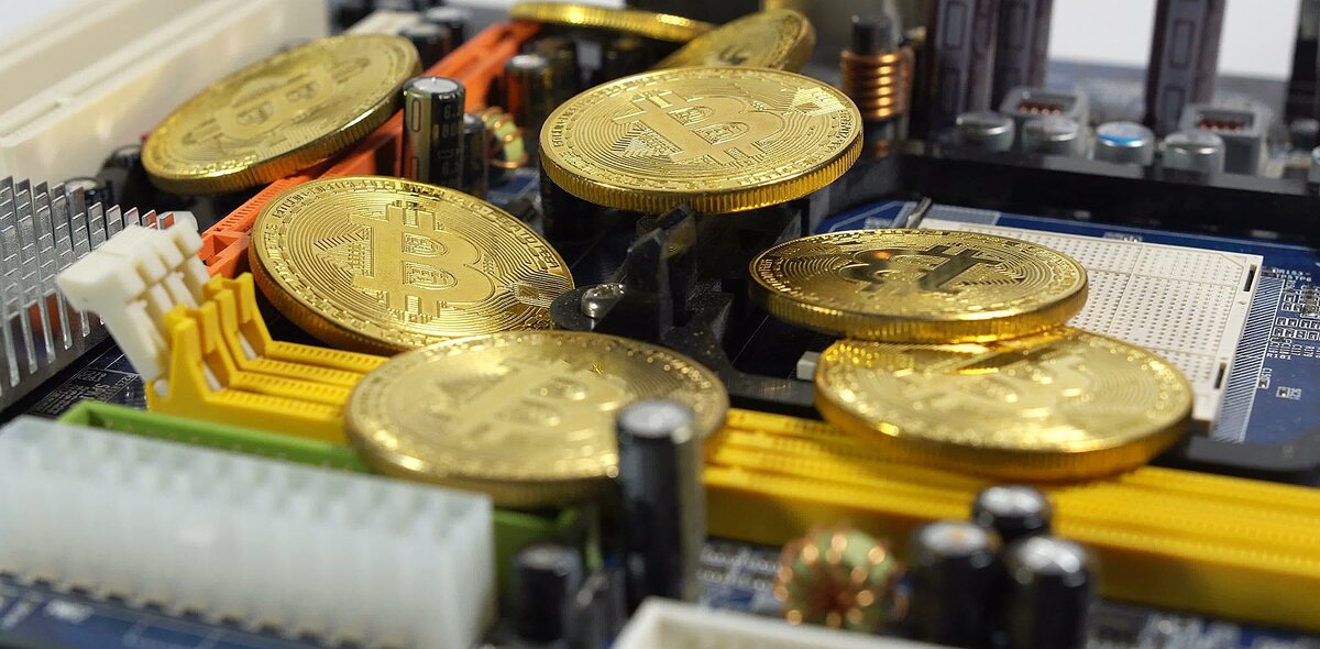 Фото на обложке: Pixabay