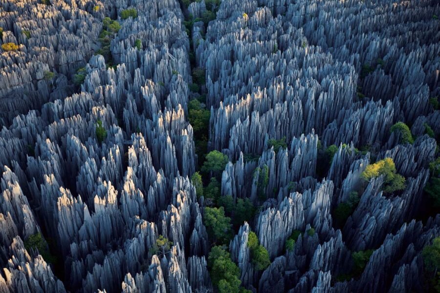 Каменный лес в Мадакаскаре. Как образовался этот лес и почему его так назвали?