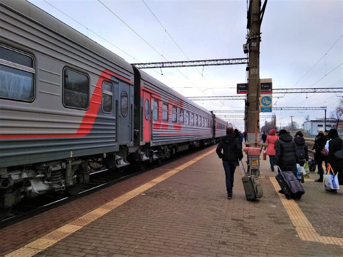 2021 г. Как перевезти собаку в поезде: рассказывает проводница вагона |  Собачий подкаблучник | Дзен