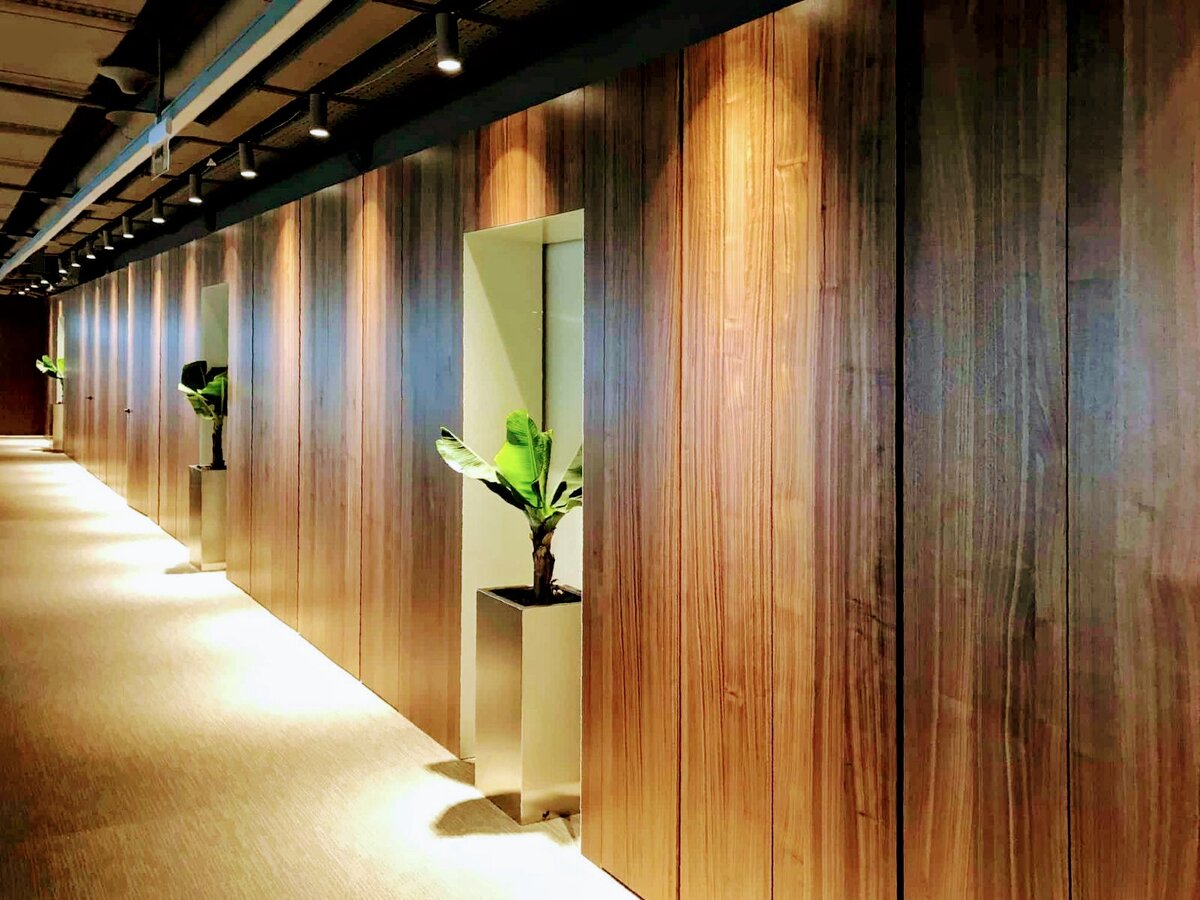 Фото взято из открытых источников