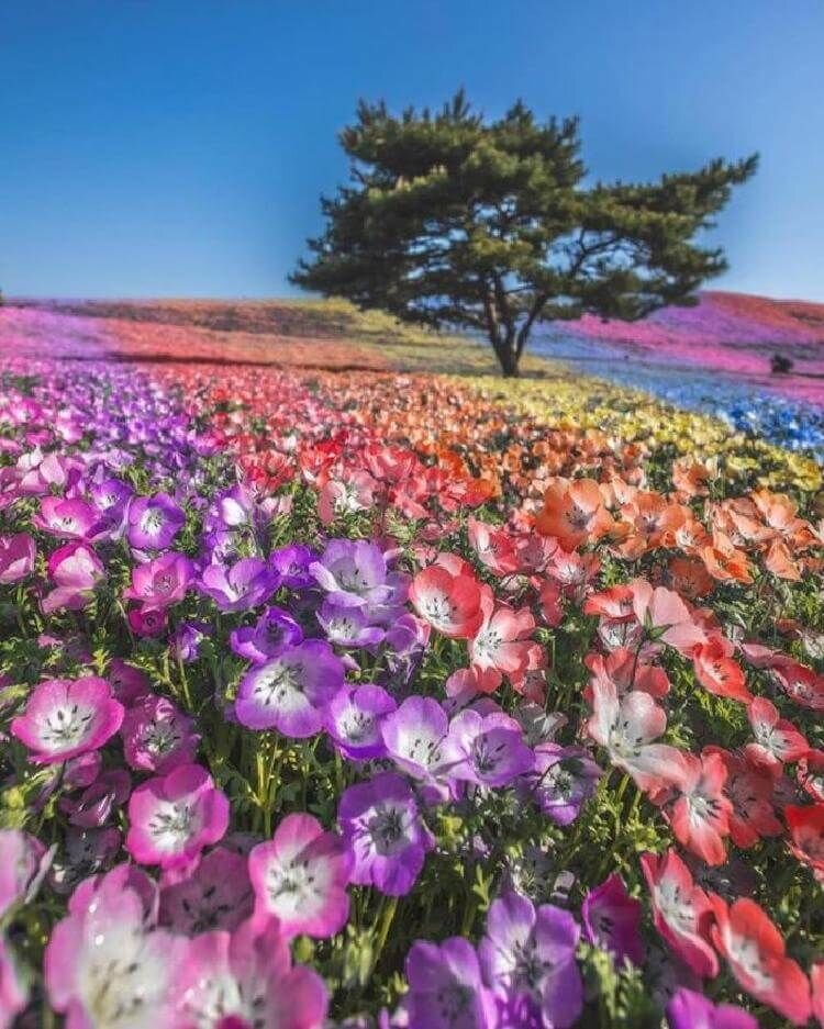 Фотография из открытыго источника 
