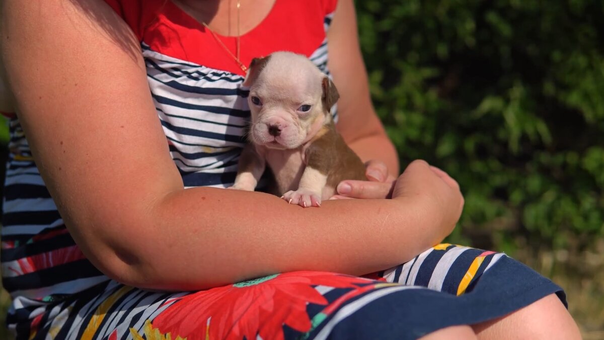 Особенный щенок