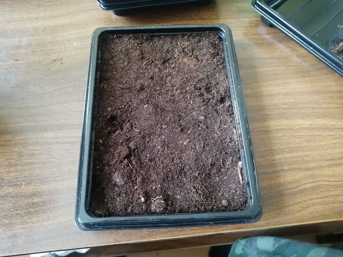 Лоток глубиной 25 мм.