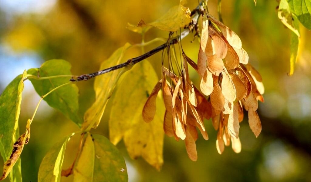 Волшебные ключи к познаниям будущего