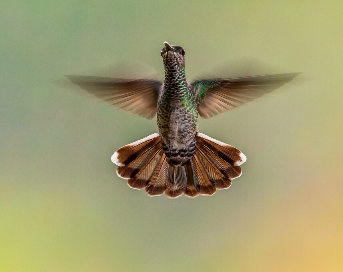 https://unsplash.com/  открытый источник