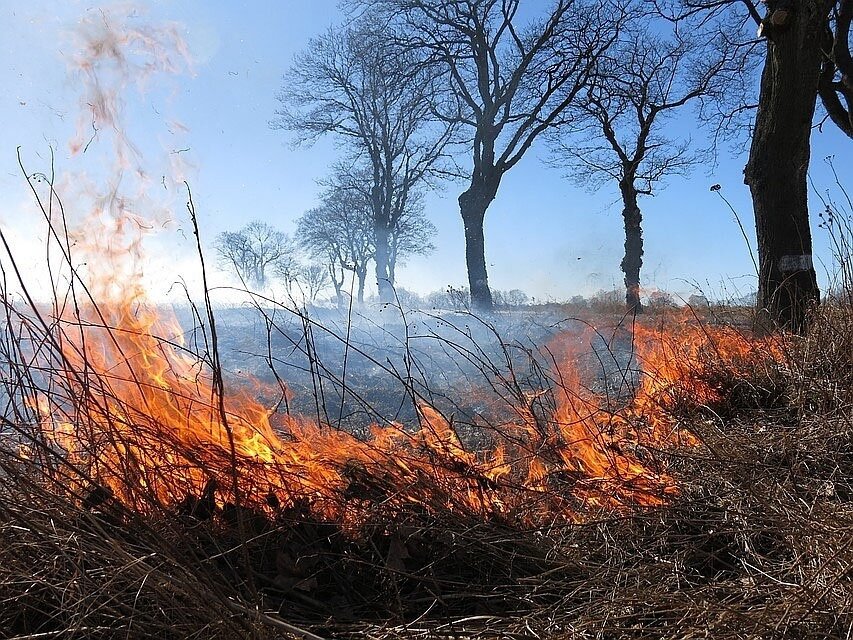 Источник: Обоянская газета