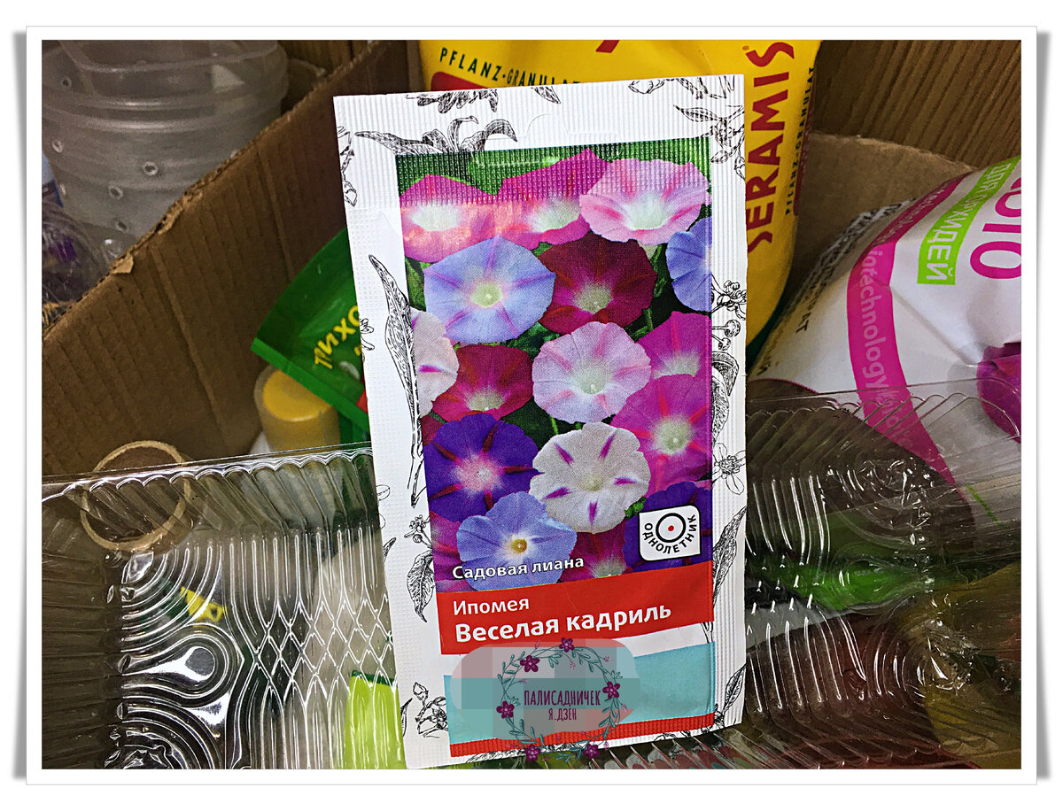 Упаковка с семенами. Производитель традиционно затёрт, поскольку за рекламу мне не заплатил 😂 Листайте, пожалуйста, чтобы семена рассмотреть. ⏩⏩