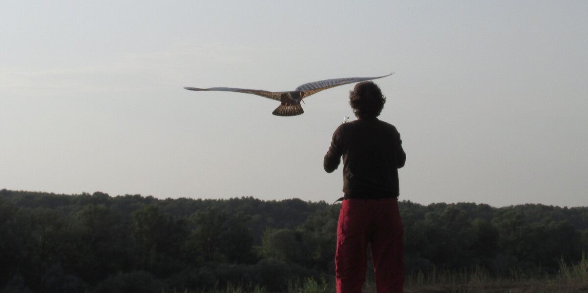 на просторах Оки