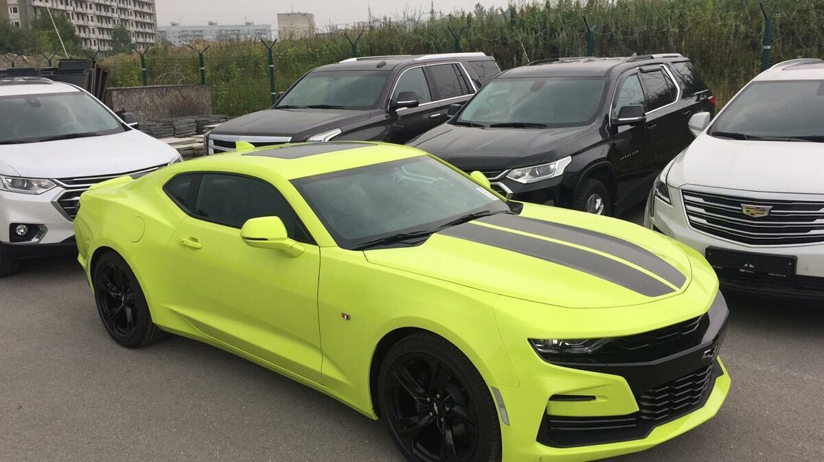 Chevrolet Camaro Shock Edition