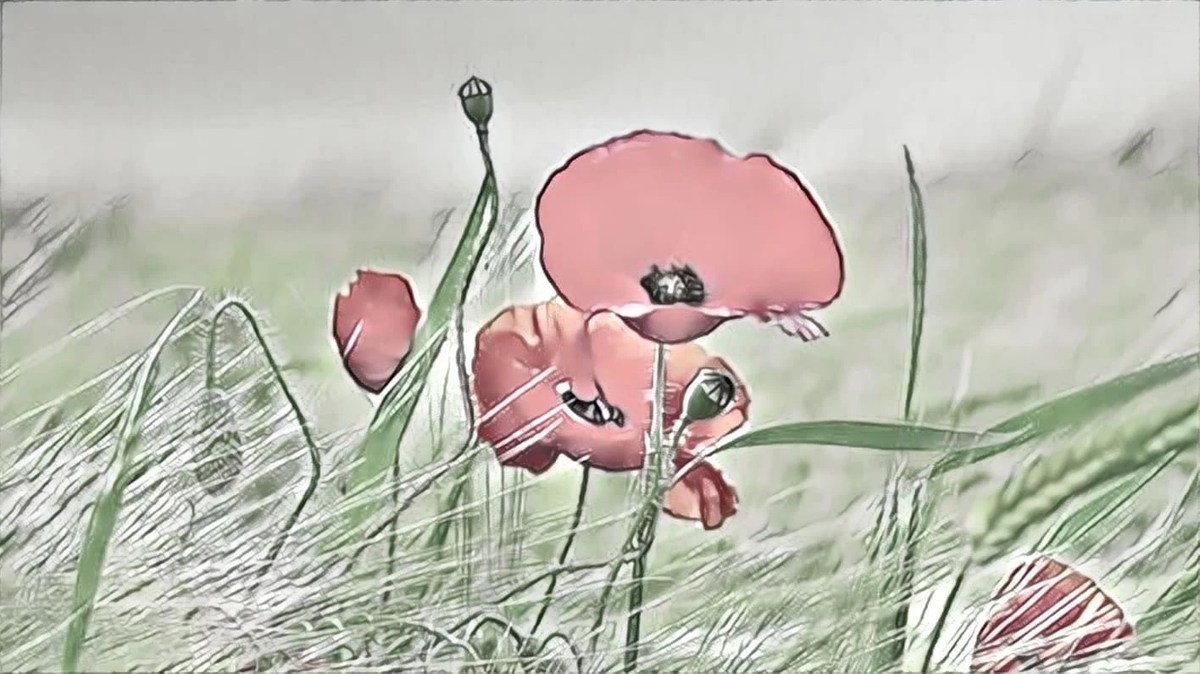 Фото из Интернета в обработке фоторедактора Prizma.