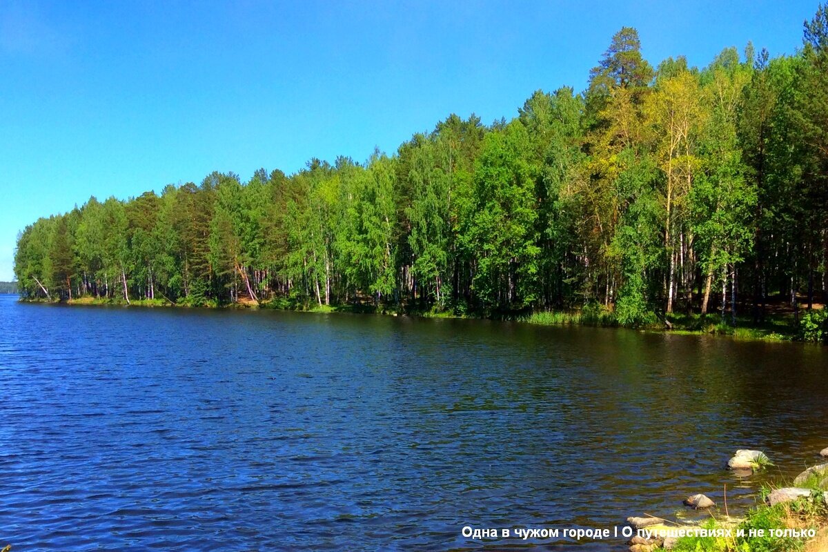 Правый берег, который любят рыбаки и туристы