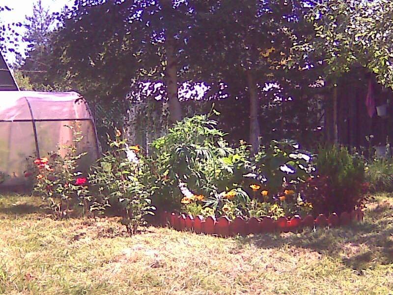 а весной уйдем на природу и подножный корм.