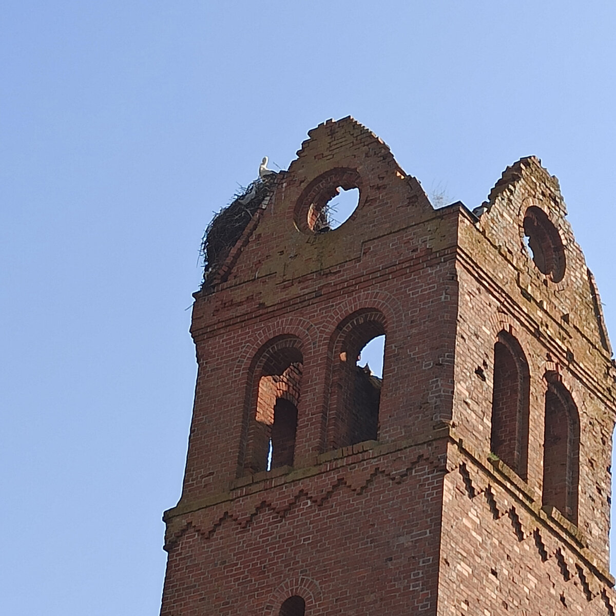 Теперь башня используются как пристанище для аиста