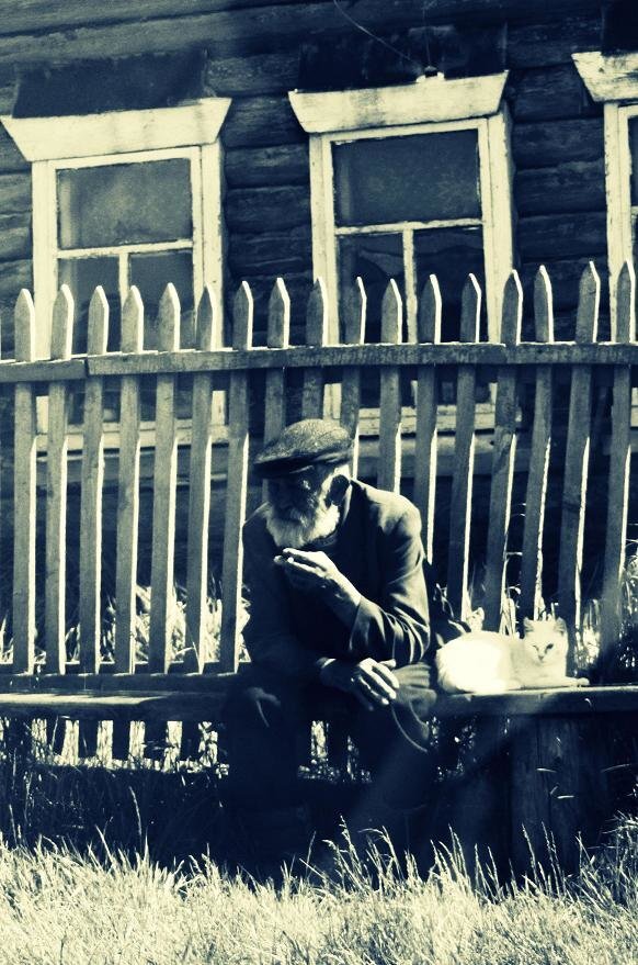 Изображение взято с канала "Криськины истории" - Яндекс.Дзен