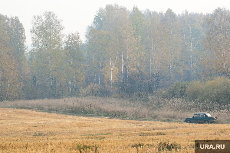    Жителей Белгородской области попросили не посещать лесополосу