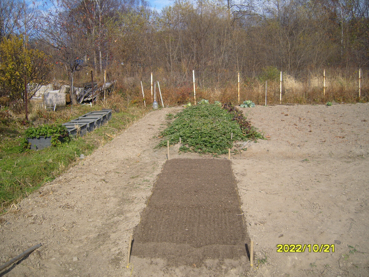 Новая клубничная грядка практически готова