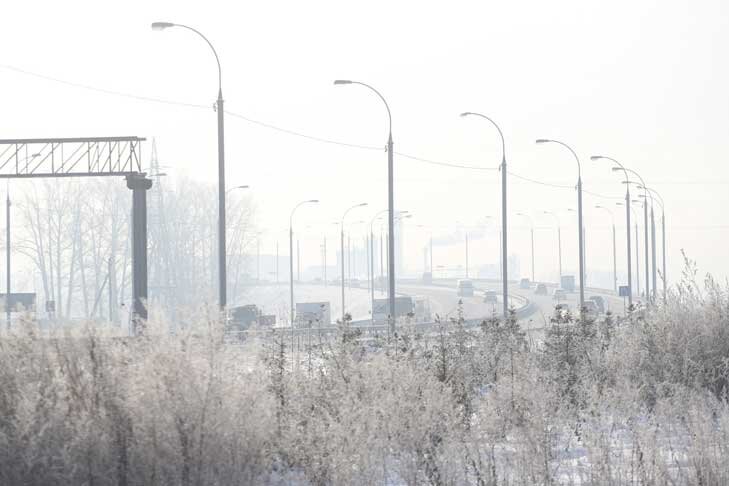    Фото Алексея Танюшина из архива ИД «Советская Сибирь»