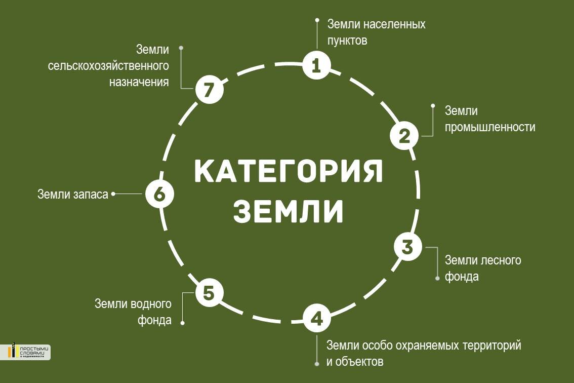 На какие две категории делятся графические изображения дайте характеристику каждой