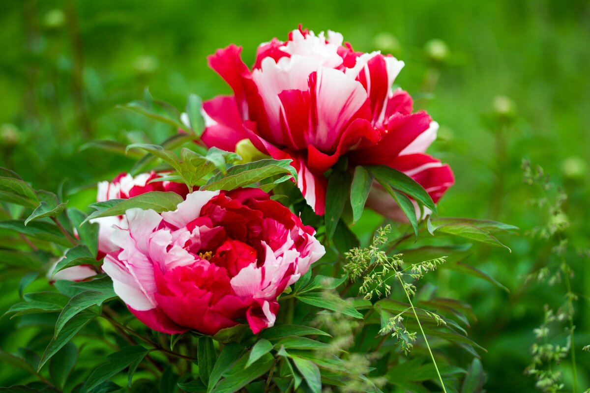                            куда уходит детство