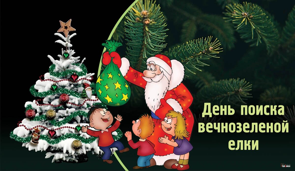 День поиска вечнозеленой елки. Иллюстрация: «Курьер.Среда»